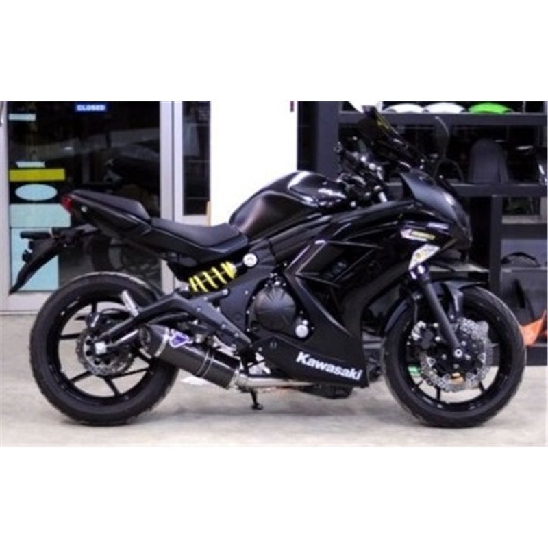 homologated full exhaust system Carbon for KAWASAKI ER-6n 2
